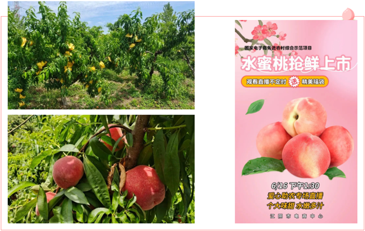 b233ab27faf16ad61c3896fe700597b.png