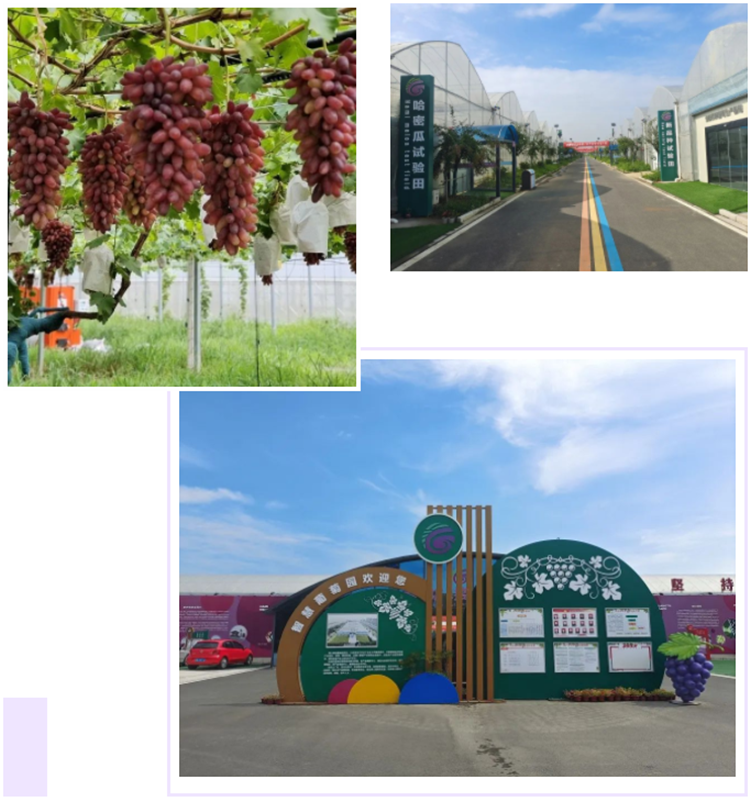 812b5aee3689494f3d28b11ea4003e6.png